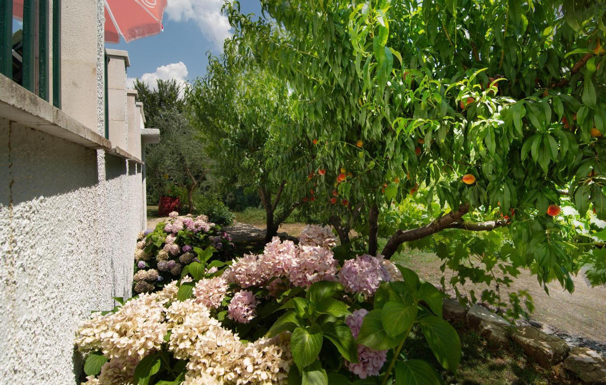 Cozy Home In Podaspilje With Kitchen Svinisce 外观 照片